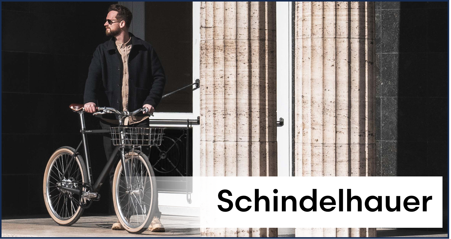 Klever elektrische fietsen